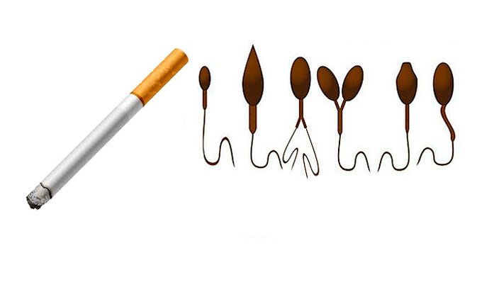 Abnormálna štruktúra spermií v dôsledku závislosti na tabaku